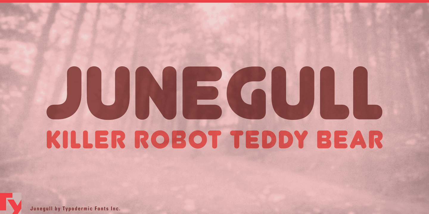 Шрифт Junegull