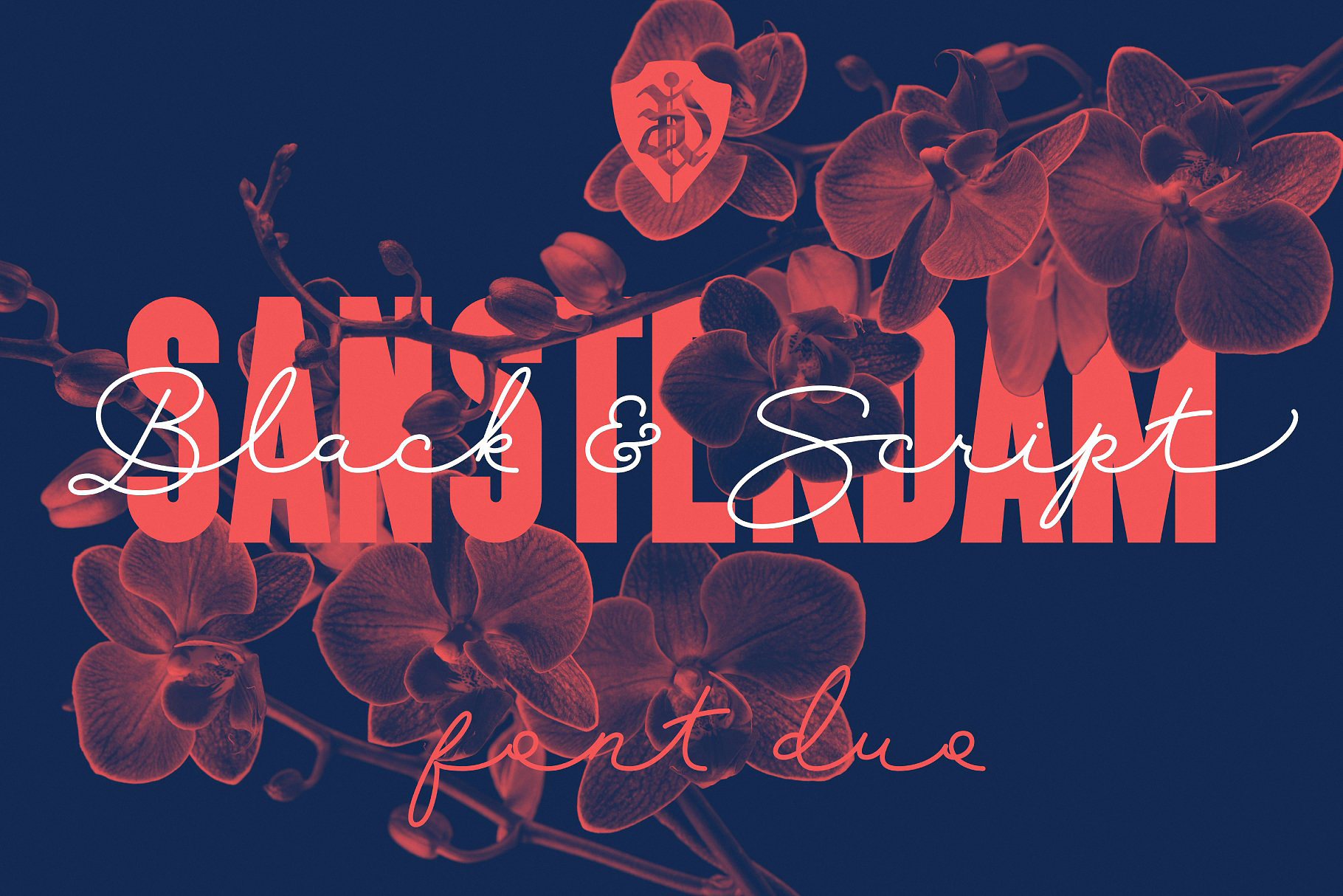 Шрифт Sansterdam