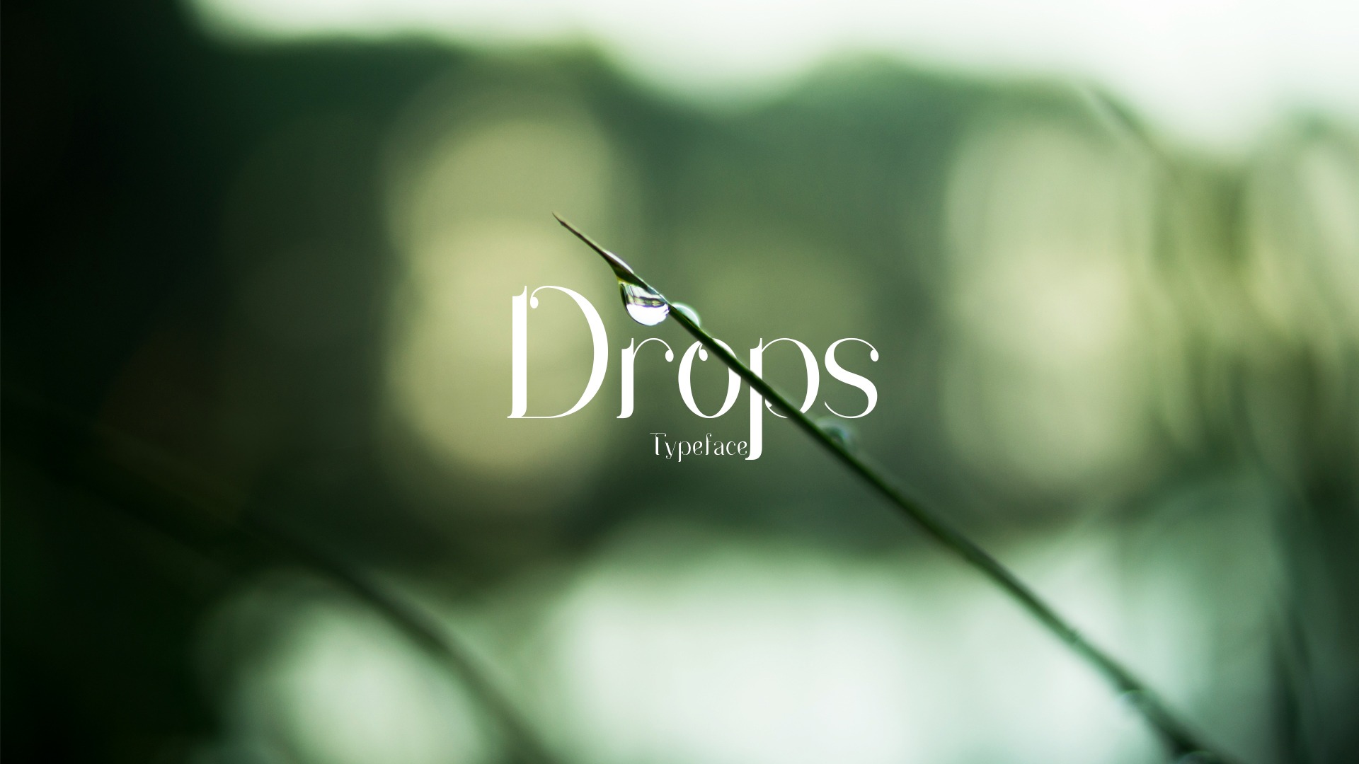 Drops