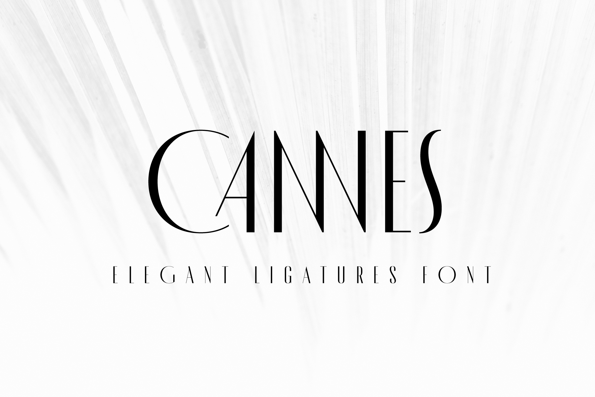 Шрифт MADE Cannes