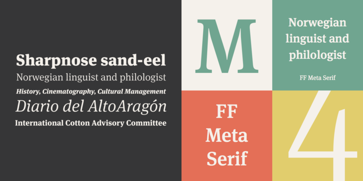 Шрифт Meta Serif Pro