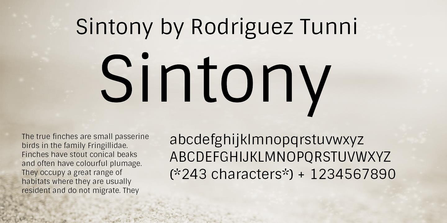 Sintony