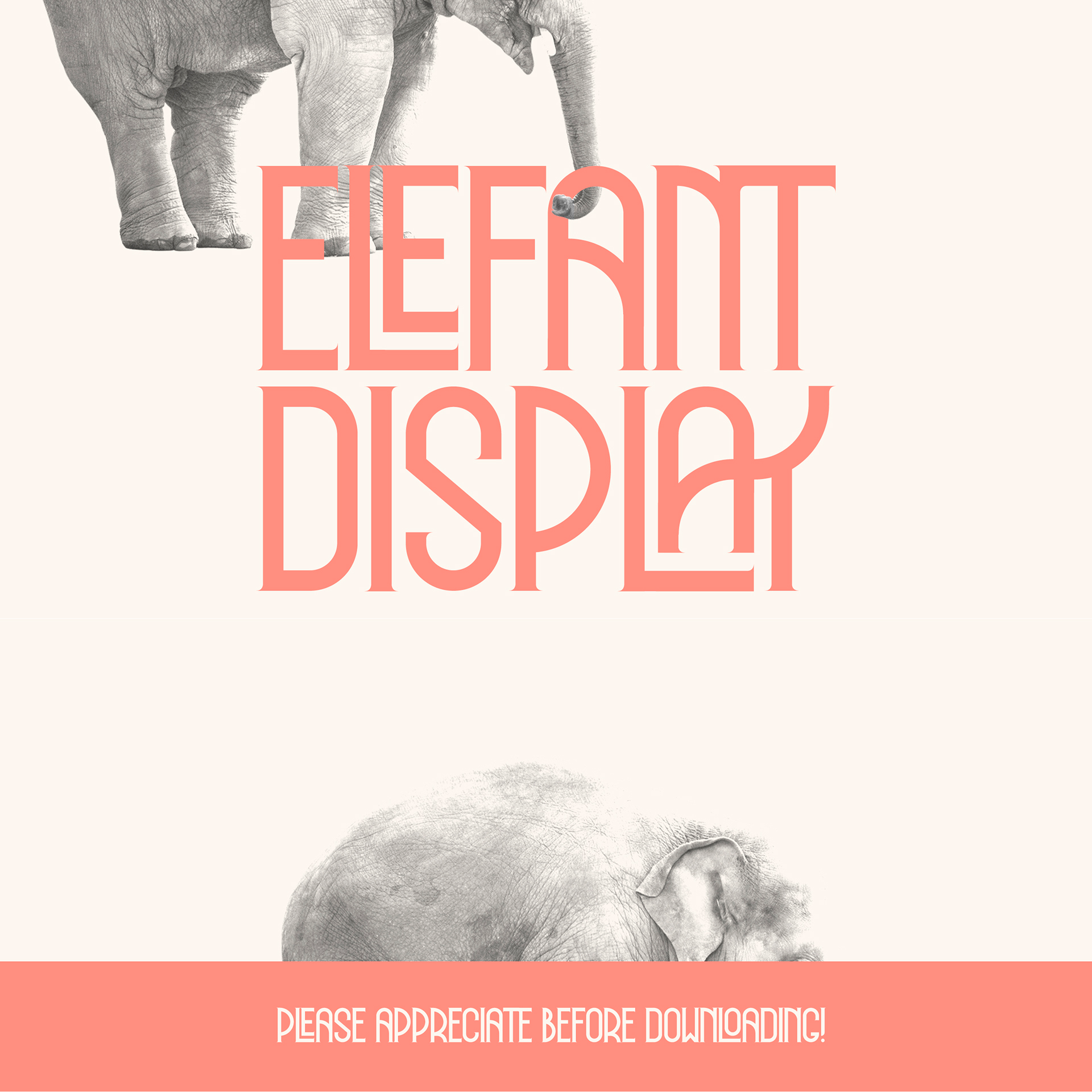 Шрифт Elefant Display