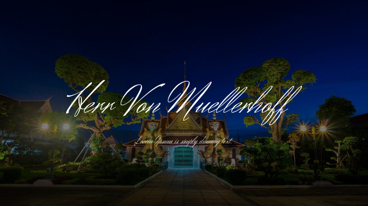 Herr Von Muellerhoff