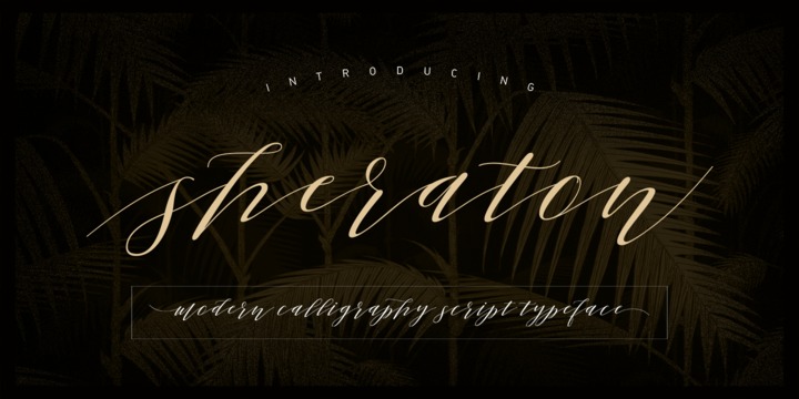 Шрифт Sheraton Script
