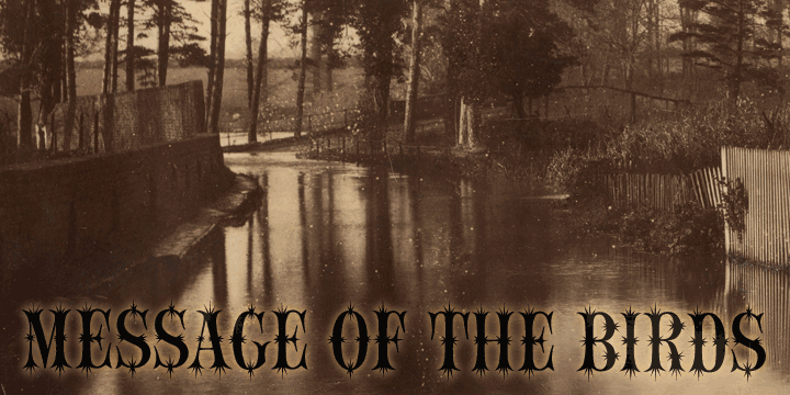 Шрифт Message of the Birds
