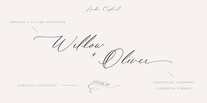 Rare Bird Specimen VI