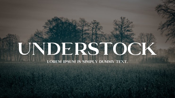 Шрифт Understock