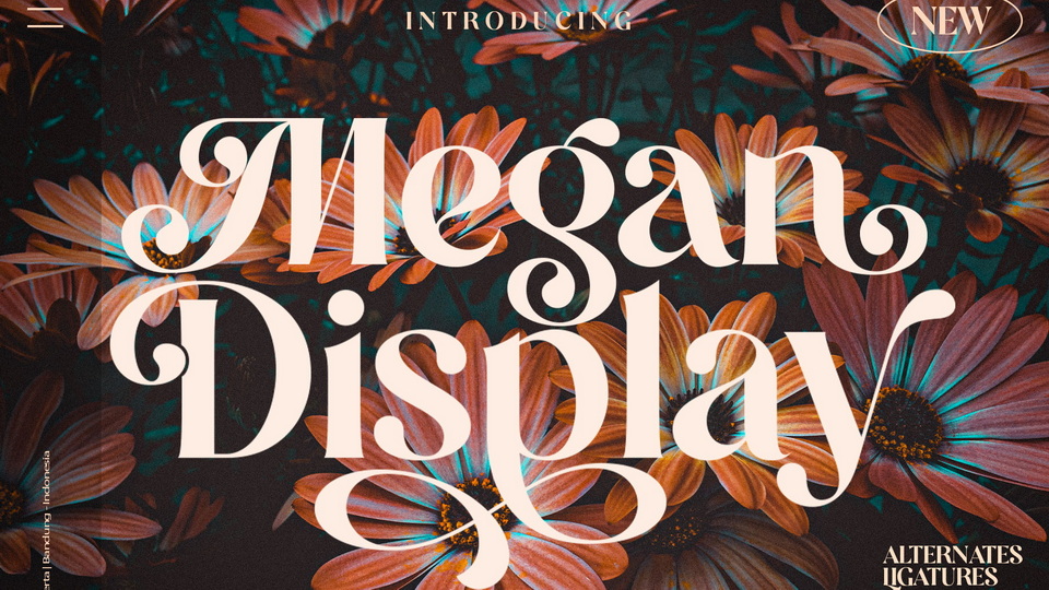 Шрифт Megan Display