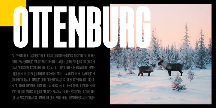 Шрифт Ottenburg Display