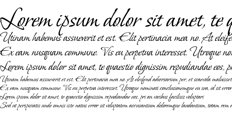 Шрифт Vera Crouz