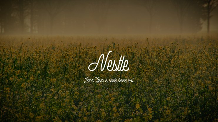 Шрифт Nestle Script