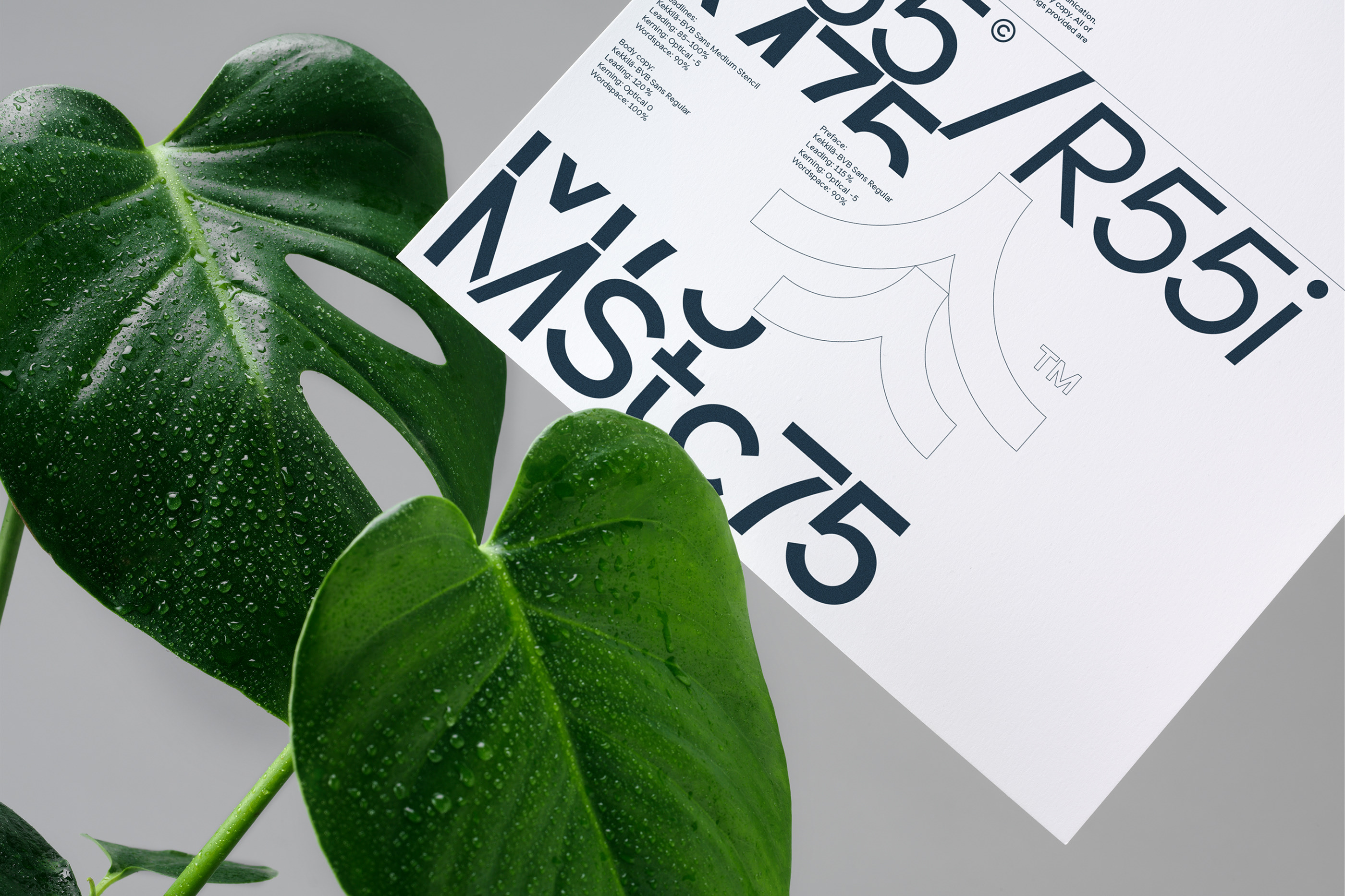 Шрифт Kekkila BVB Sans