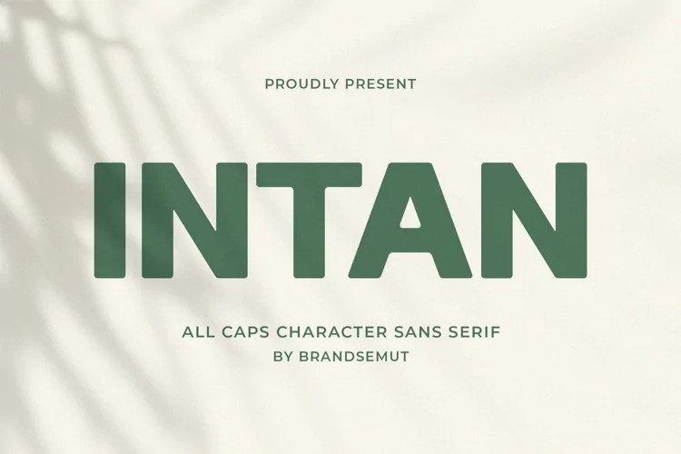Шрифт Intan