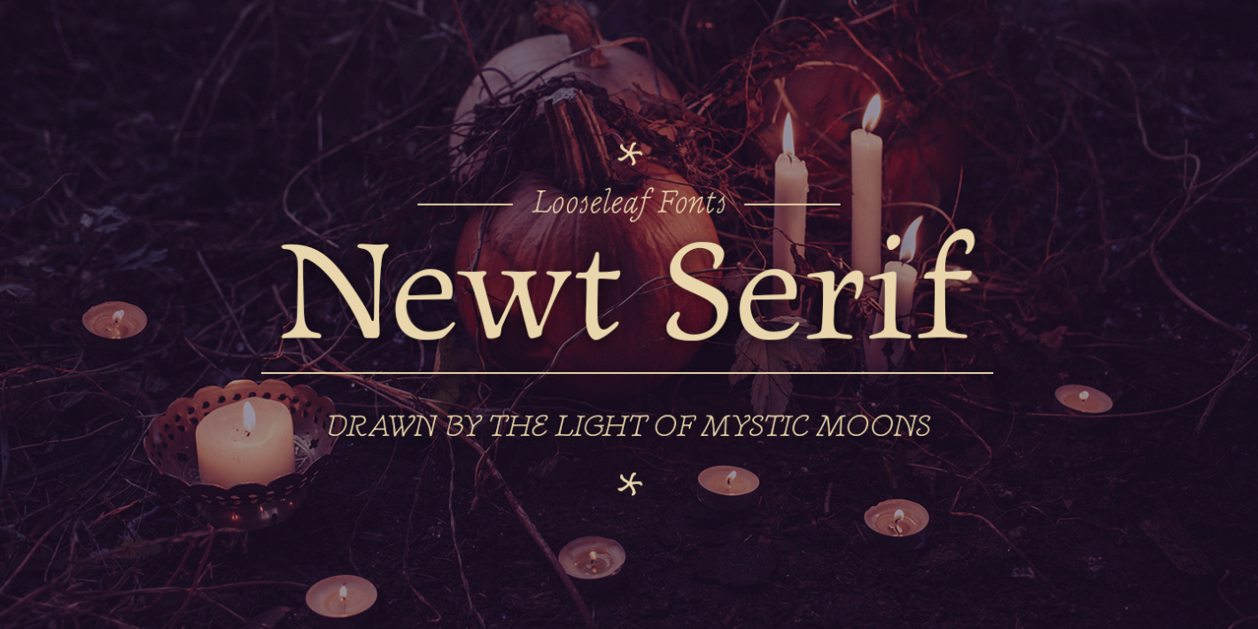 Шрифт Newt Serif