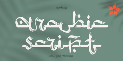Arabic Script