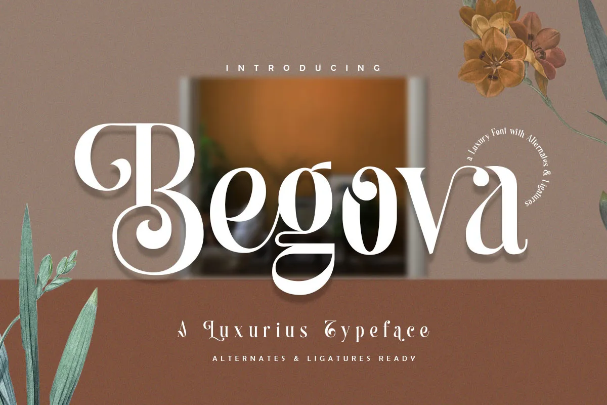 Шрифт Begova