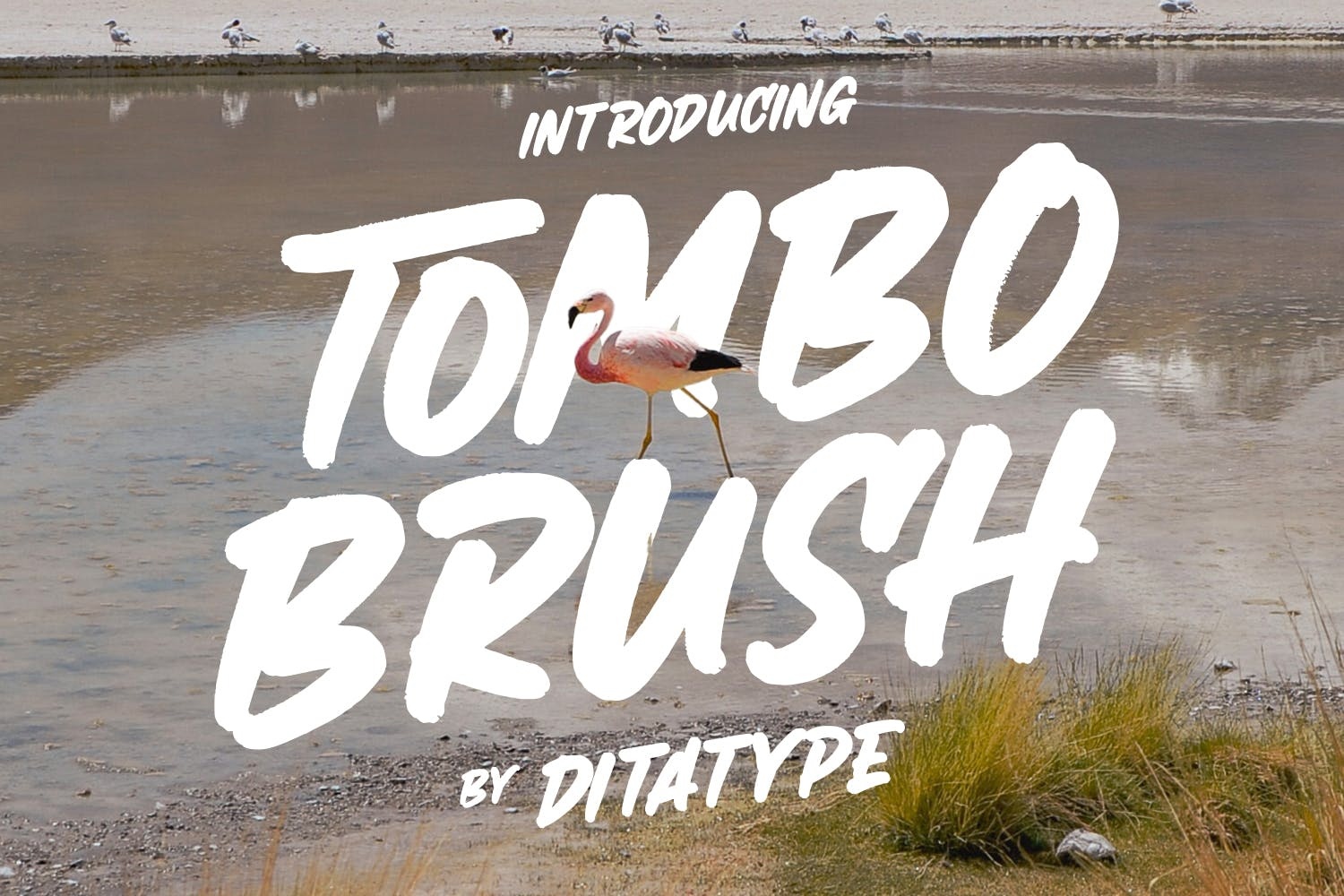 Шрифт Tombo Brush