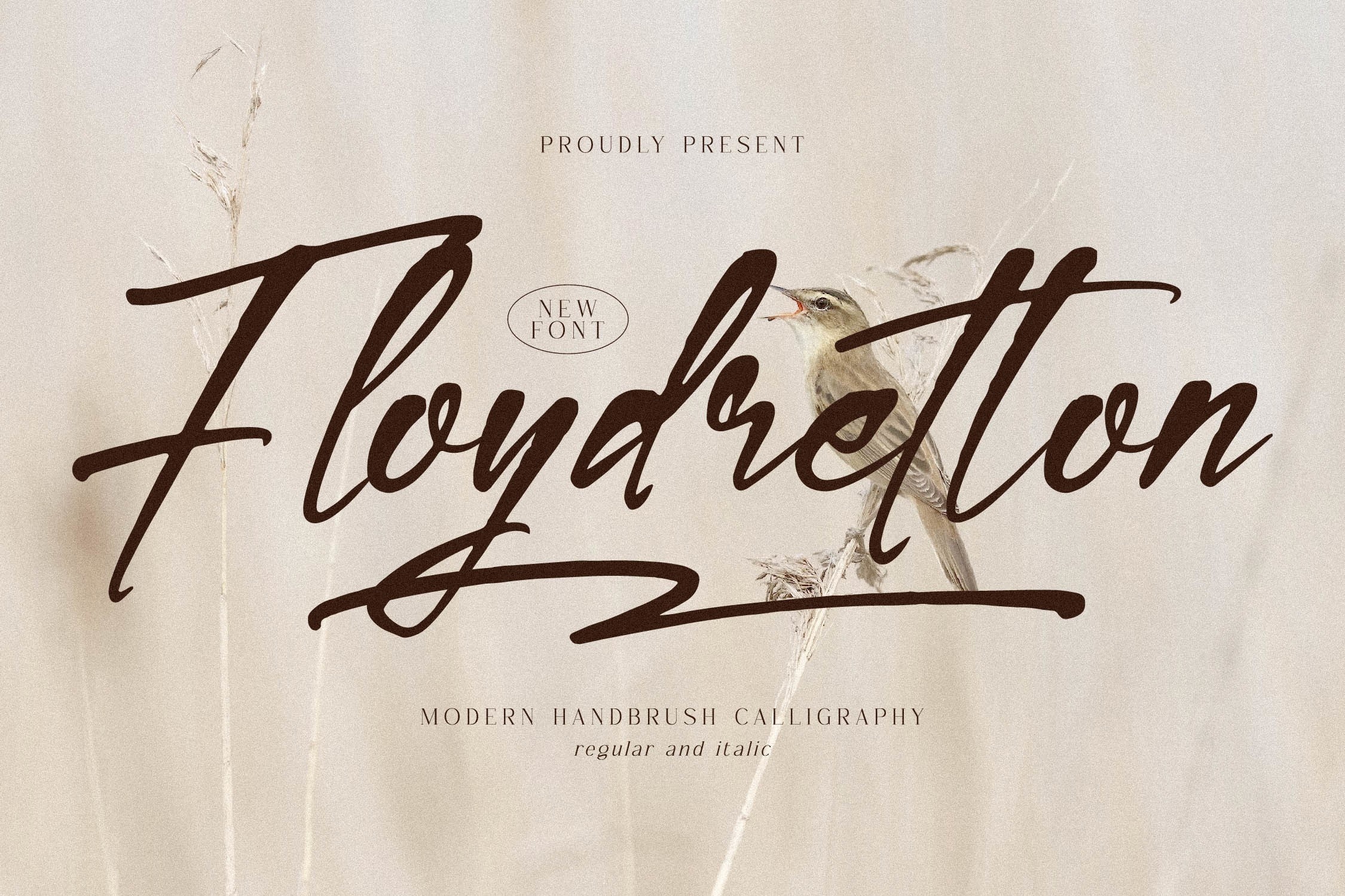 Шрифт Floydretton