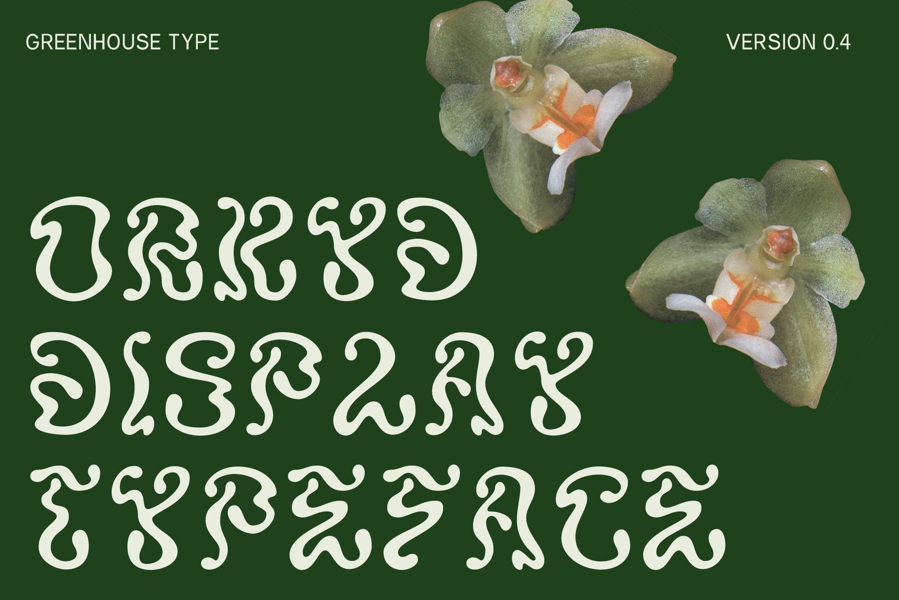 Шрифт ORKYD Display