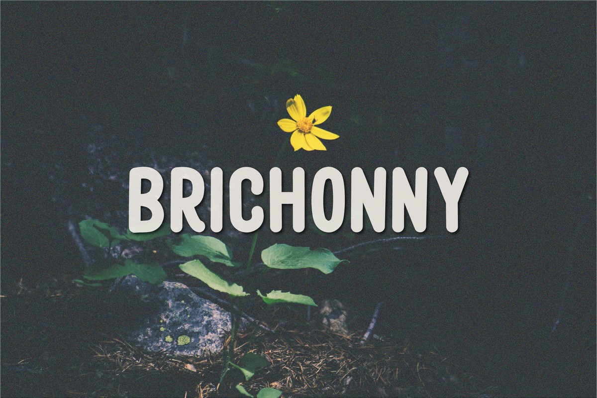Шрифт Brichonny