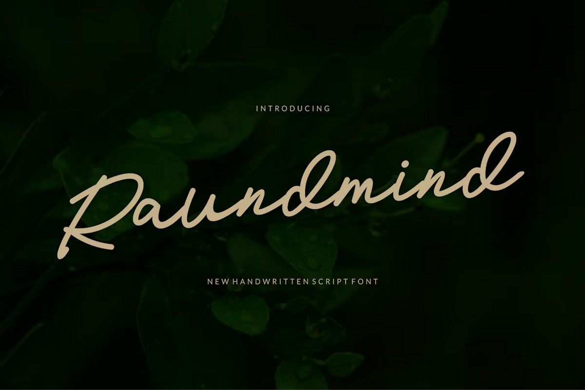 Шрифт Raundmind