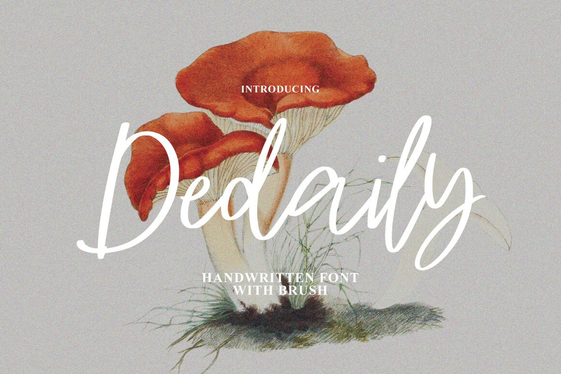 Шрифт Dedaily Signature