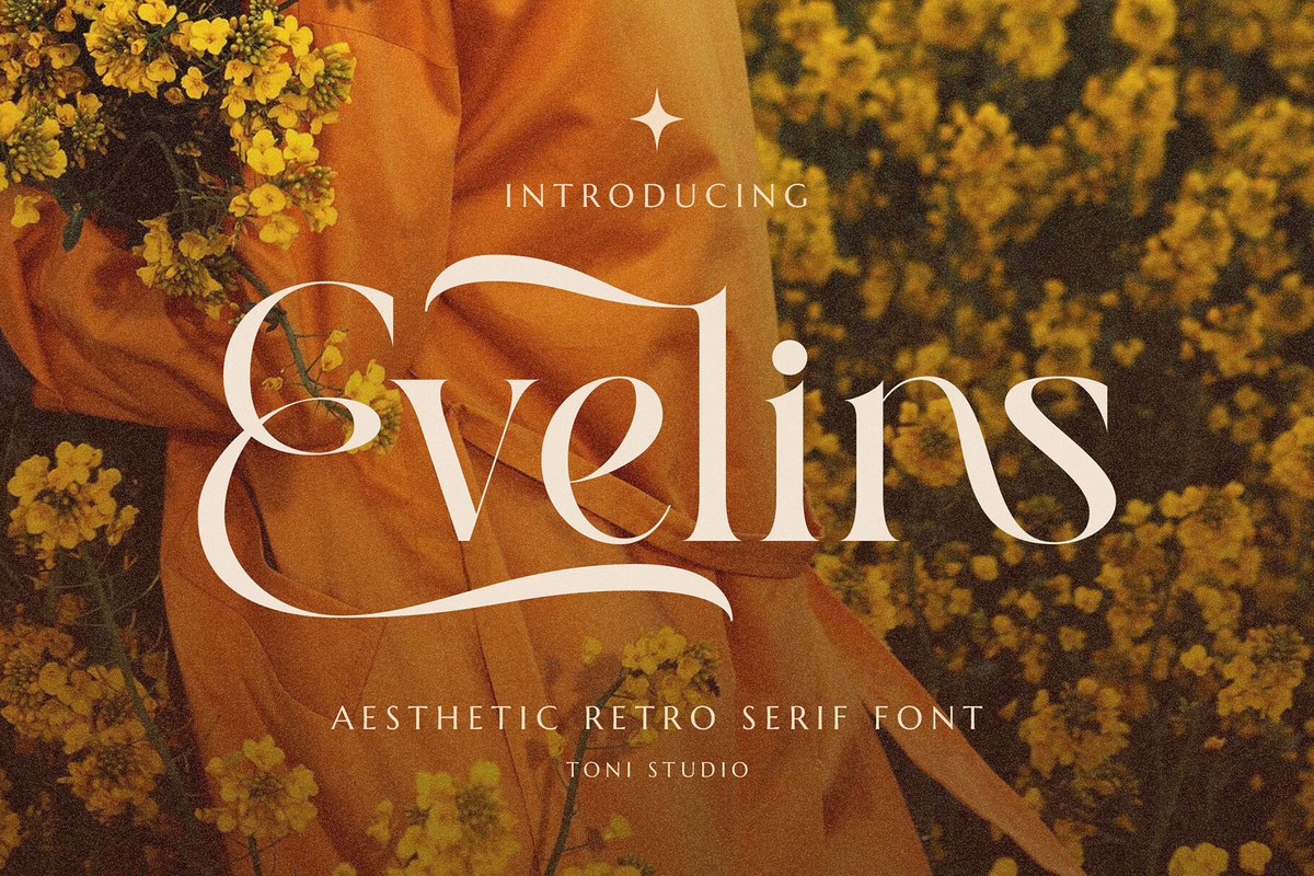 Шрифт Evelins