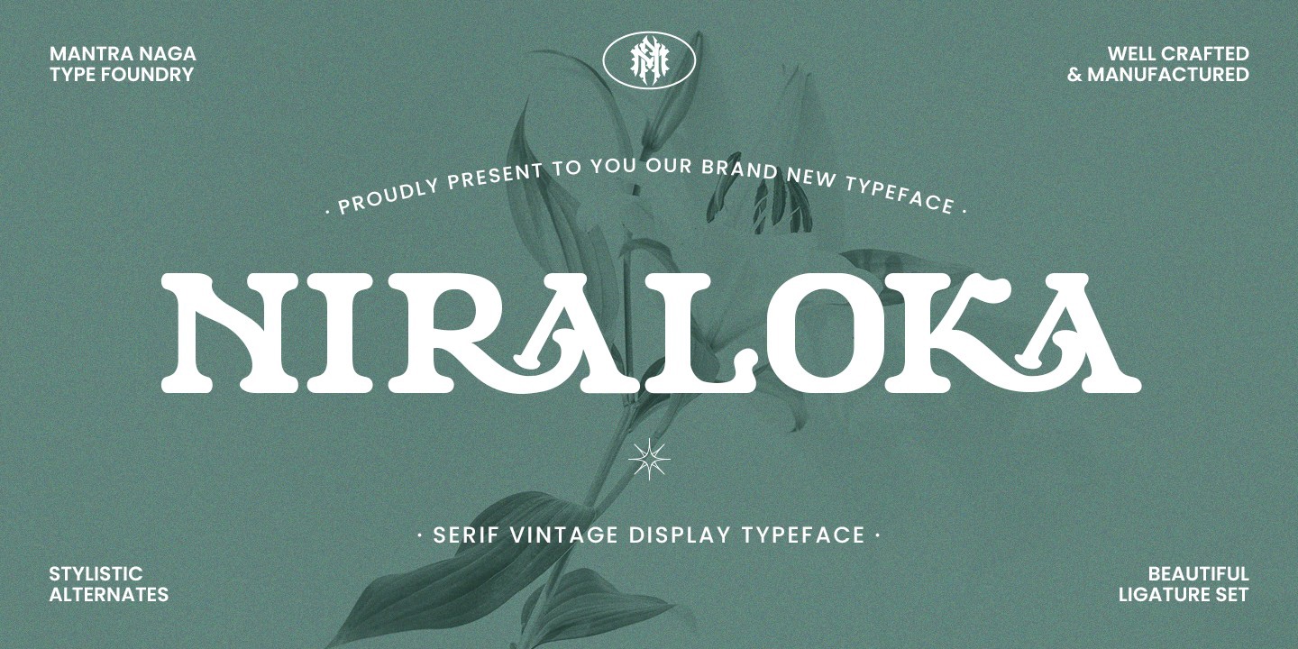 Шрифт MN Niraloka