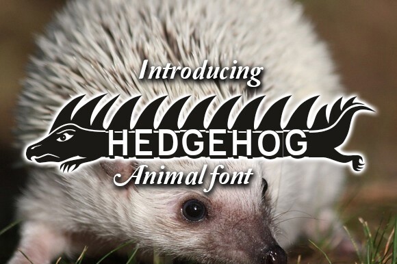 Шрифт Hedgehog