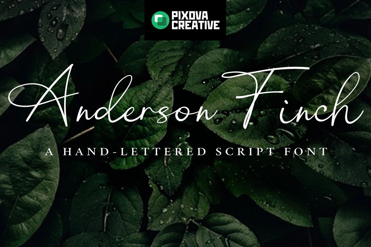 Шрифт Anderson Finch